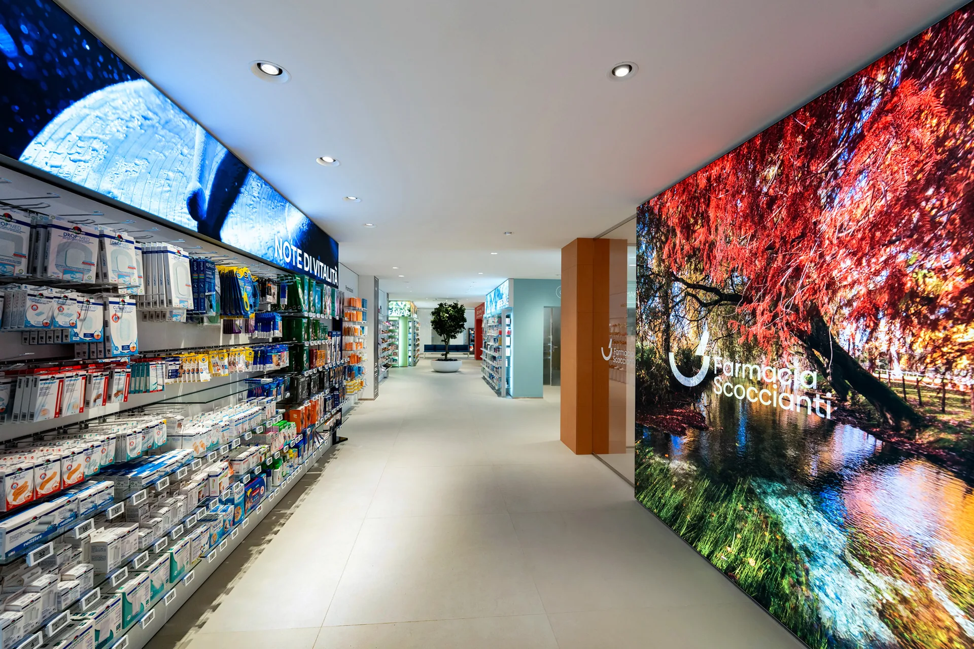 Percorso immersivo e installazioni digitali nella Farmacia Scoccianti